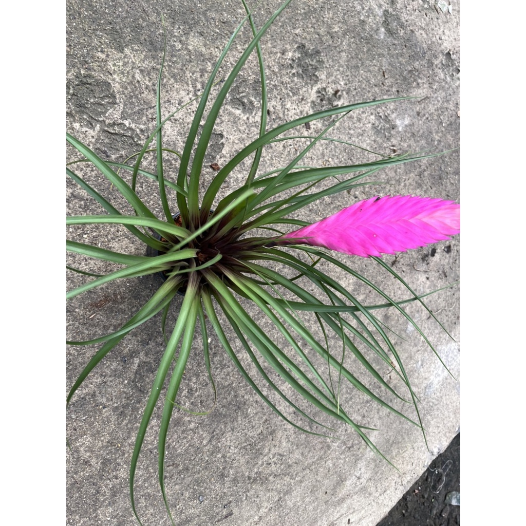 มุมมอง 3