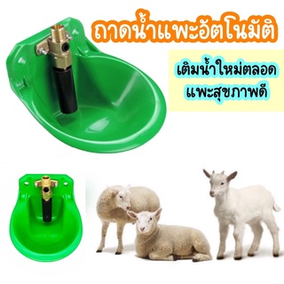 ถ้วยให้น้ำแพะ แกะ  อ่างใส่น้ำแพะ แบบอัตโนมัติ