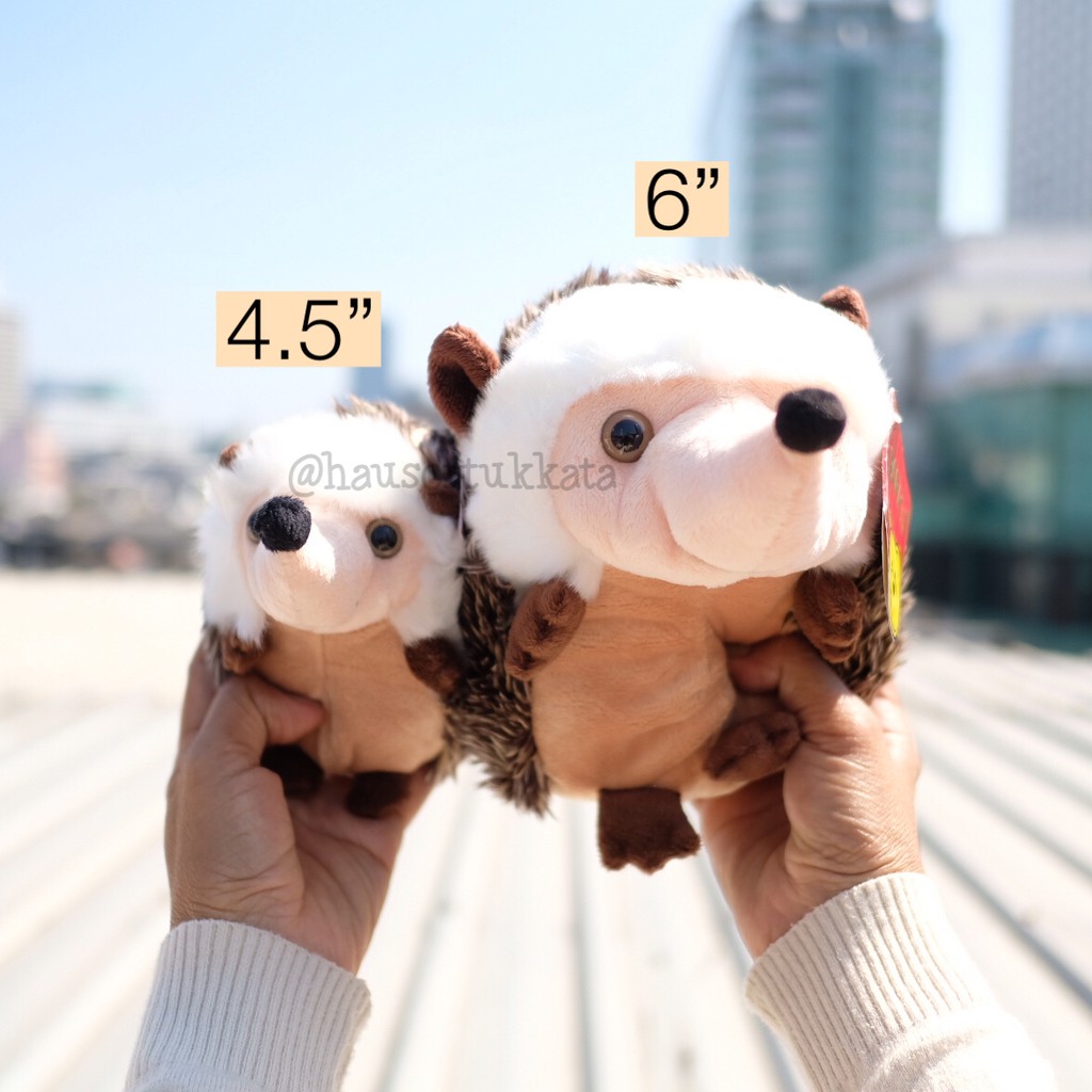 ตุ๊กตา Hedgehog เม่นแคระ 4.5/6นิ้ว Anee Park อานี ปาร์ค เม่น ตุ๊กตาเม่น ตุ๊กตาเม่นแคระ