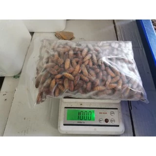 ดักแด้1kgกับจิ้งหรีดไข่1kg​ฟรีค่าลังโฟมครับ​