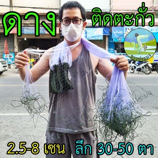 ตาข่ายดักปลา มีตะกั่วล่าง ดางซู ขนาด 2.5-8 เซน ลึก 30 40 50 ตา ดางซูข่าว ตราเรือใบ และ ตรานกอินทรี เนื้ออวน มอง ดาง