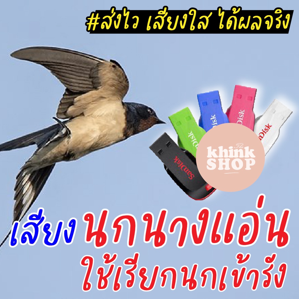 เสียงเรียกนกนางแอ่น เสียงนอกใช้ล่อนกเข้ารัง เมมเสียงเรียกนกนางแอ่น แฟลชไดร์ฟเสียงเรียกนกนางแอ่น มีเก็บเงินปลายทาง
