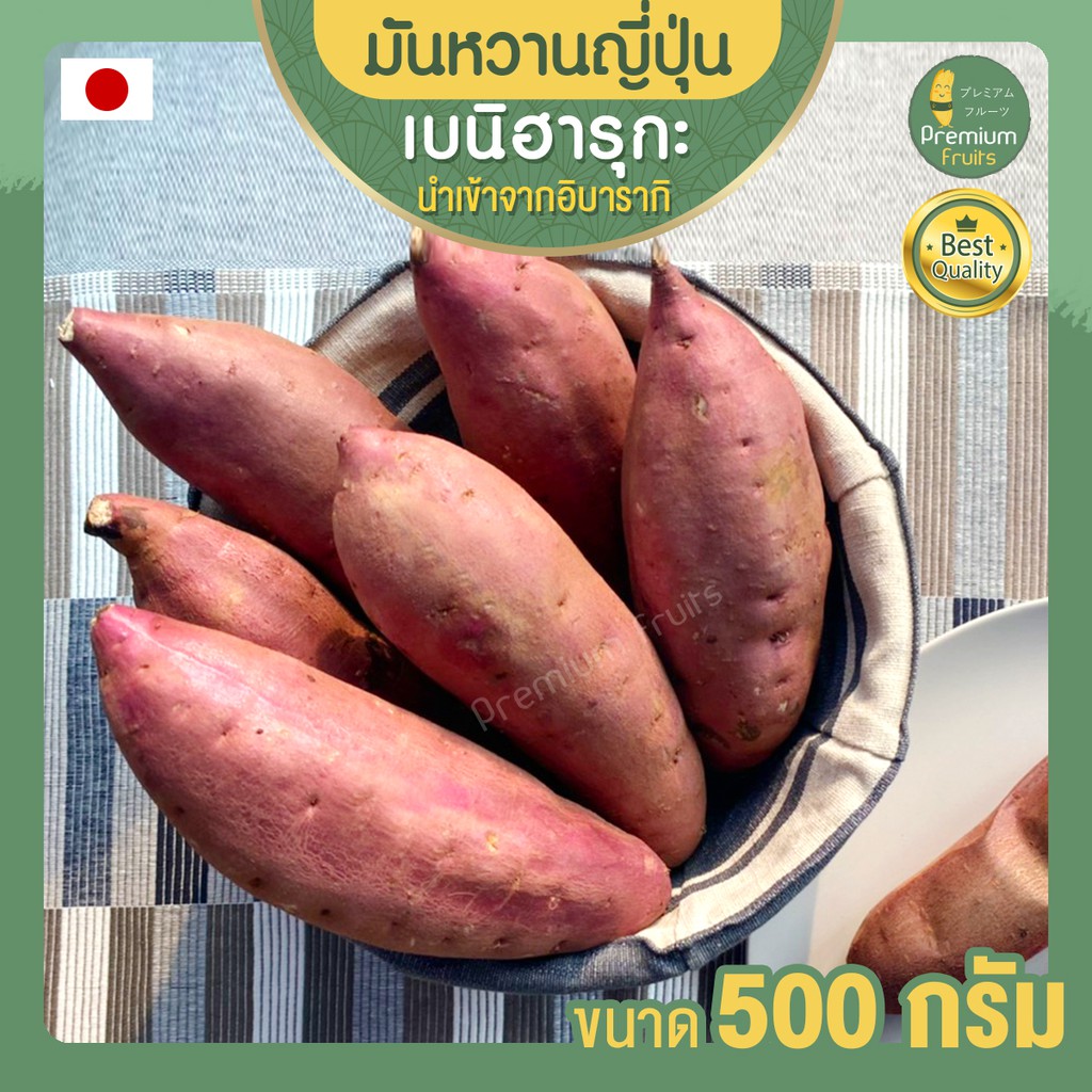 มันญี่ปุ่น มันหวานญี่ปุ่น ขนาด 500g เบนิฮารุกะ มันหวาน มันหวานญี่ปุ่นเบนฮารุกะ มันหวานญี่ปุ่นนำเข้า beni haruka