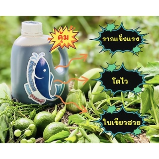 น้ำหมักอินทรีย์ชีวภาพจากปลาเข้มข้น(หัวเชื้อ) (1200 ml.) ใช้ปลาหลากหลายชนิด รวมถึง กุ้ง หอย ใช้เวลาหมัก 1-2 ปี