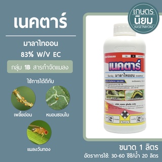 เนคตาร์ (มาลาไทออน 83% W/V EC) 1 ลิตร