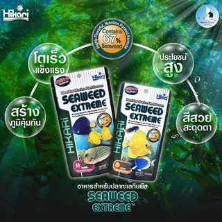 Hikari Seaweed Extrem 100 g. (อาหารปลาทะเลผสมสาหร่าย ชนิดเม็ดกึ่งลอยน้ำ)