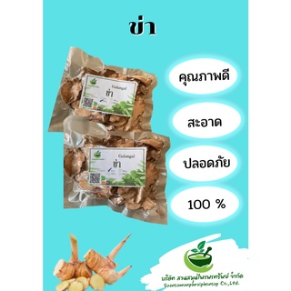 ข่า (Galanga)  ขนาด 100 กรัม  ช่วยบำรุง สมรรถภาพทางเพศ