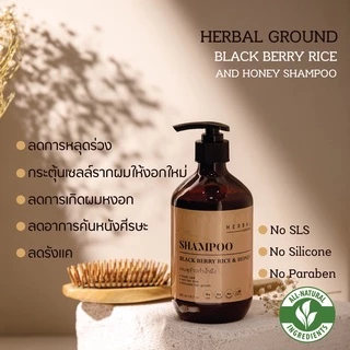 Herbal Ground แชมพูข้าวก่ำน้ำผึ้ง ลดผมร่วง ลดผมหงอก ลดรังแค กระตุ้นผมงอกใหม่ แก้ปัญหาหนังศีรษะ