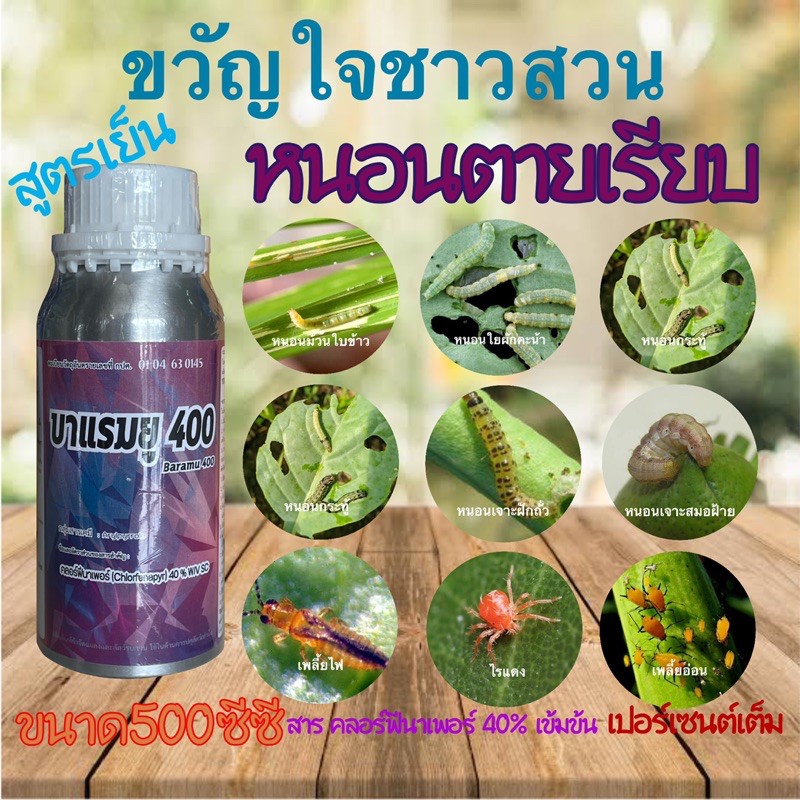 My Image 3