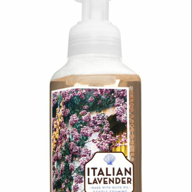 Bath and Body Work Gentle Hand Soap