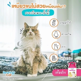BEARING Cat Multi Vitamin for Cat วิตามินรวมสำหรับแมว วิตามินแมว อาหารเสริมแมว บำรุงสุขภาพบำรุงสายตา เสริมภูมิคุ้มกันแมว
