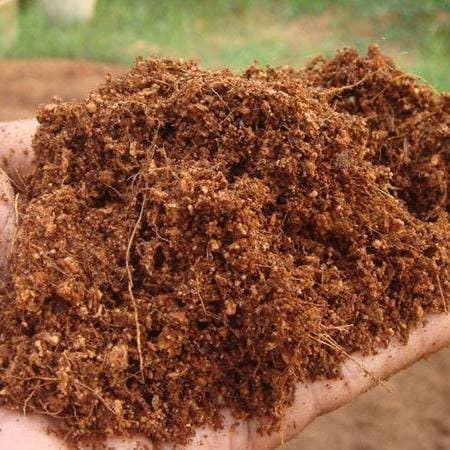 ขุยมะพร้าวละเอียด ผสม เชื้อไตรโคเดอร์ม่าสำหรับเพาะปลูกต้นไม้ หรือผสมวัสดุปลูก ตอนหรือชำกิ่ง