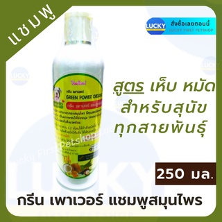 GREEN POWER SHAMPOO กรีน เพาว์เวอร์ แชมพู แชมพูสมุนไพรสูตรเห็บ หมัด สำหรับสุนัข 250 มล.