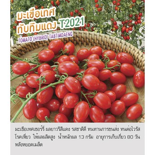 เมล็ดพันธุ์ มะเขือเทศ มะเขือเทศเชอร์รี่ พันธุ์ใหม่ ทับทิมแดง -Tomato Tabtimdang ตราดอกแตง เมล็ดผัก เพื่อนเกษตรกร