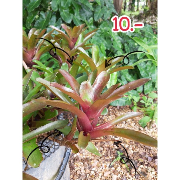 My Image 14