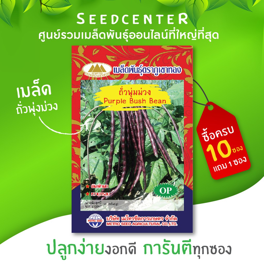 เมล็ดถั่วพุ่มม่วง ขนาด 10 กรัม ภูเขาทอง