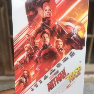 บัตรแข็งสะสม การ์ด บัตรสะสม antman marvel avengers