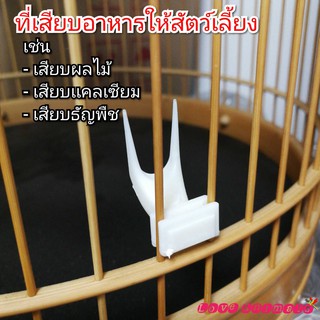 ที่เสียบให้อาหารสัตว์เลี้ยง ที่ให้อาหารสัตว์เลี้ยง ที่เสียบอาหารนก ที่ให้อาหารนก ที่ใส่อาหารนก ที่ให้อาหารหนู