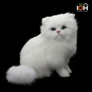 (Pre-Order) IOH แมวเปอร์เซีย ตุ๊กตาสัตว์จำลองเหมือนจริง Cat-Model-09 เกรดผลิตจากขนกระต่าย (ส่งฟรีไม่ต้องใช้โค้ด)