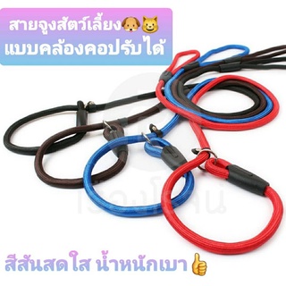 สายจูงสัตว์เลี้ยง คล้องคอปรับได้ แบบไนลอนสีสันสดใส น้ำหนักเบา