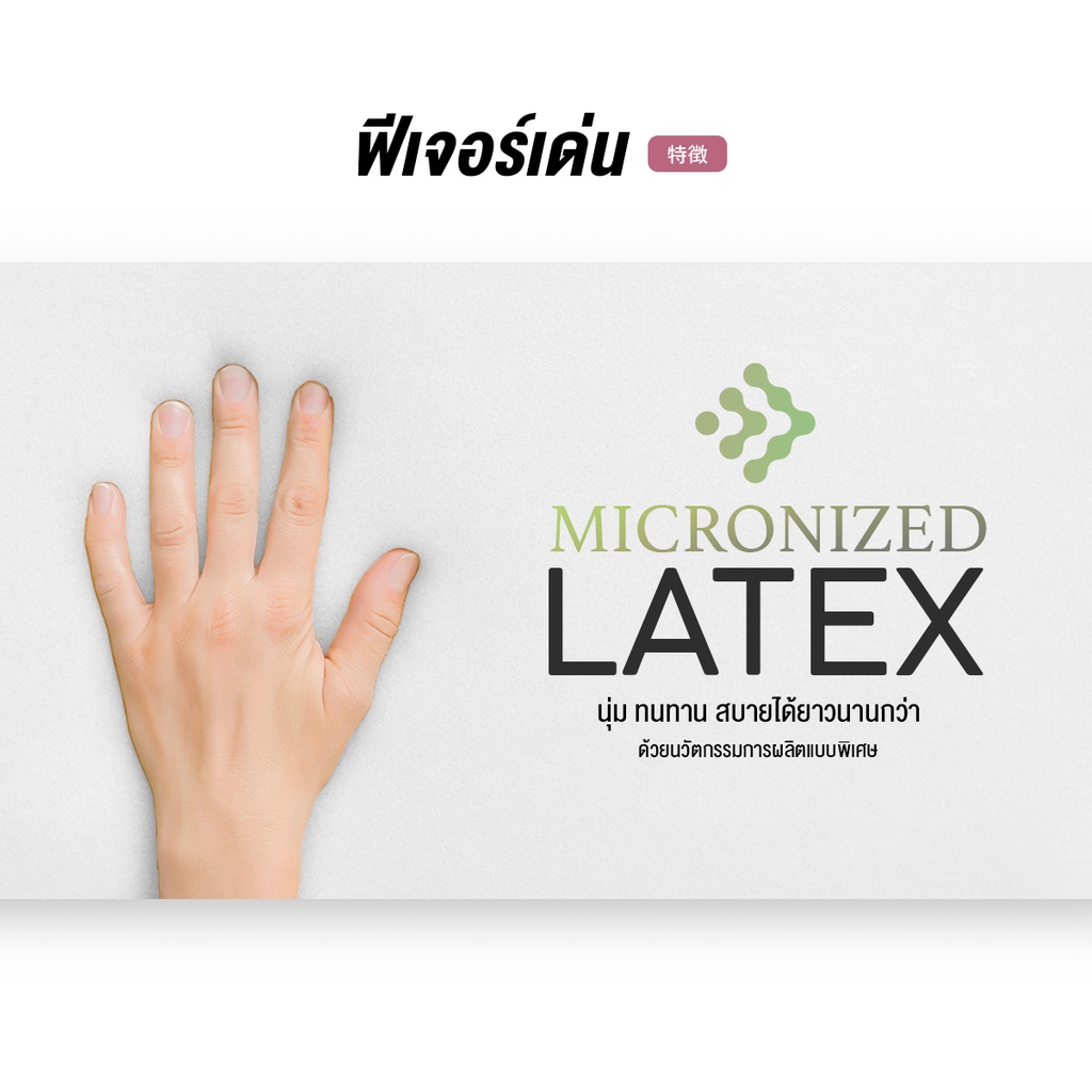 Orientas Roji-Cha รุ่น Omogashi เบาะรองนั่งเพื่อสุขภาพ ผลิตจากยางพาราแท้ หนา 2 นิ้ว รองรับสรีระ คืนตัวไว หุ้มปลอกหนัง PV - รูปที่ 2