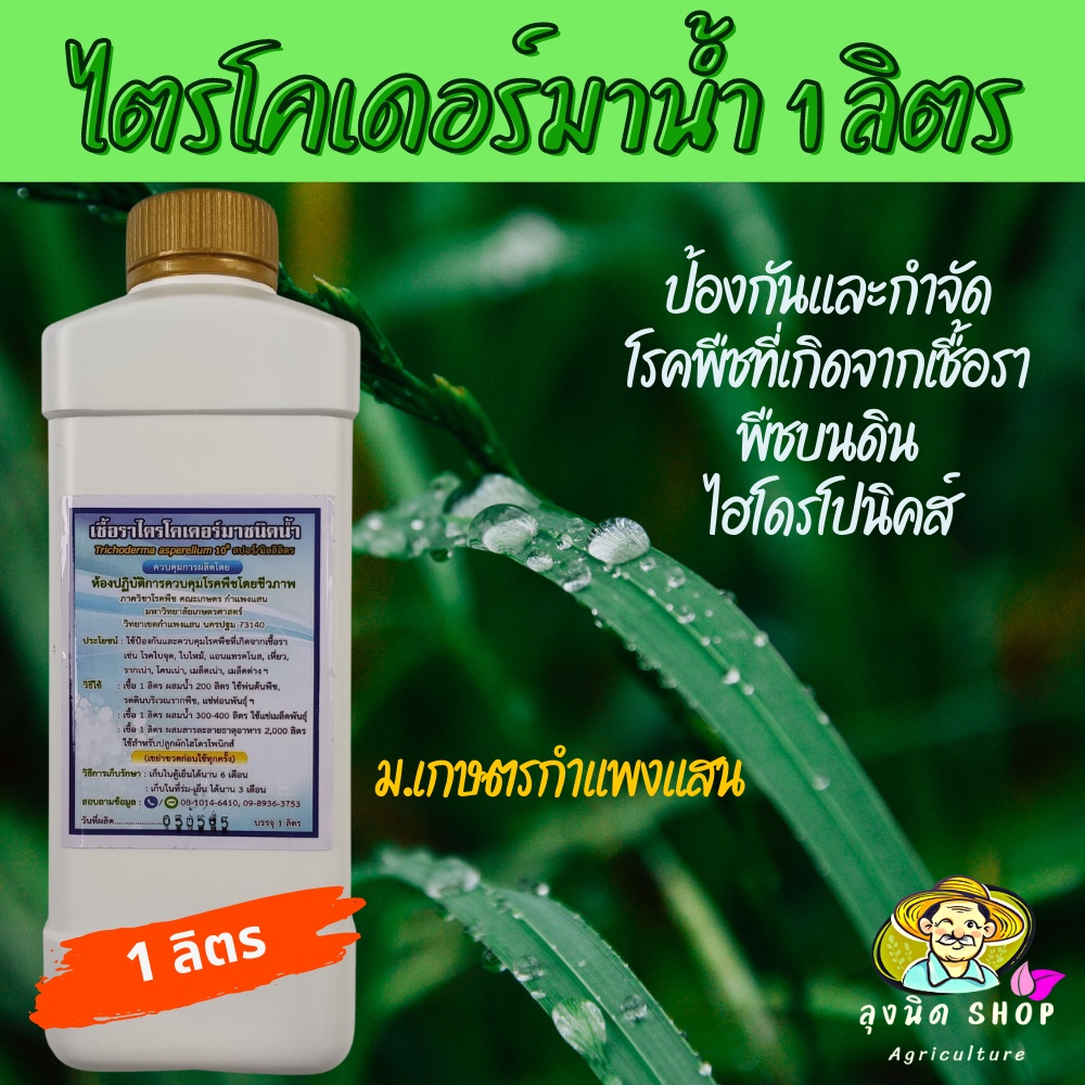 ไตรโคเดอร์มา ชนิดน้ำ ม.เกษตรกำแพงแสน(ขนาด 1 ลิตร)ผสมสารจับใบแล้ว ป้องกัน-ควบคุมโรคพืชที่เกิดจากเชื้อ