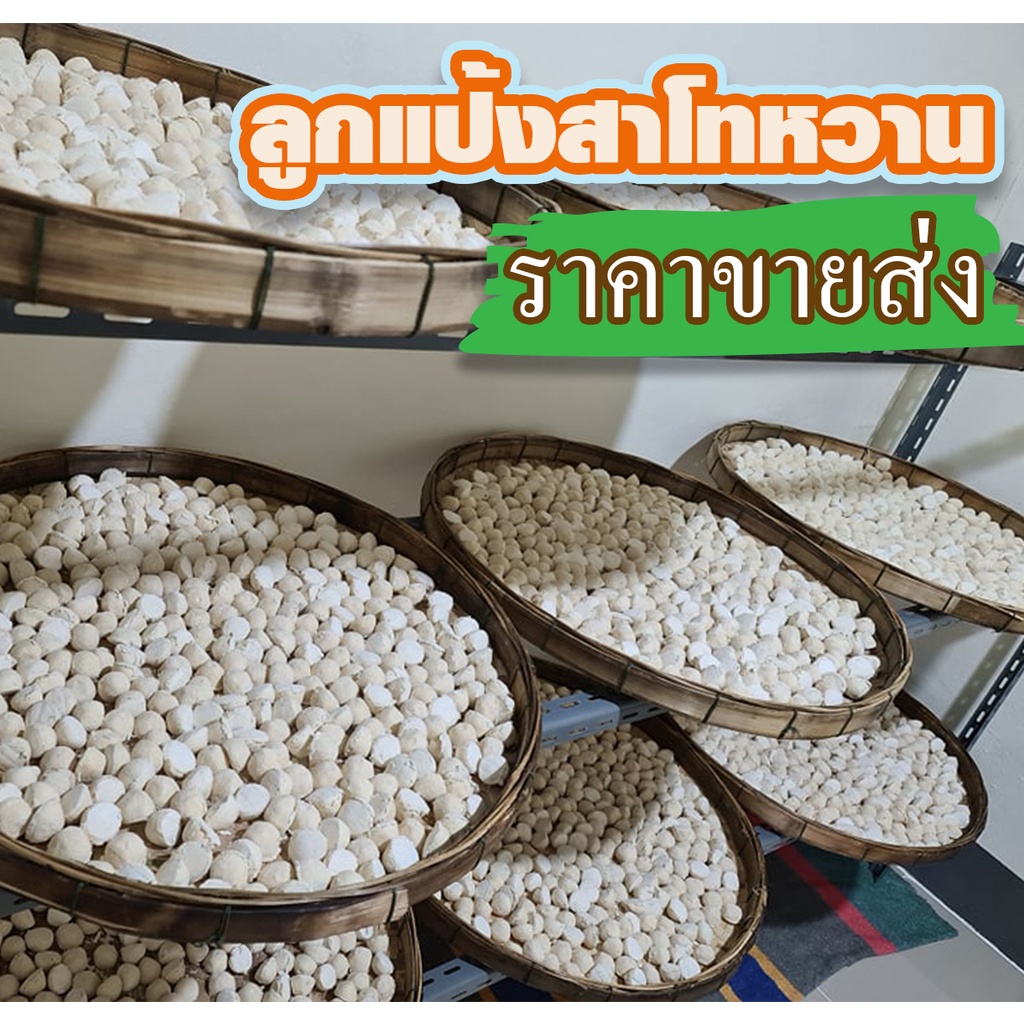 [ขายส่ง] ลูกแป้งสาโทหวาน อีสาน เก็บได้นาน10-12เดือน ขายง่ายกำไรดี เม็ดสวยเชื้อแรง หอม หวานโดยไม่ต้องเติมน้ำตาล