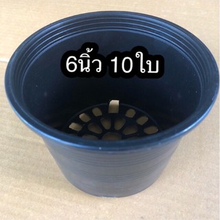 กระถาง6นิ้ว 10ใบ  กระถางพลาสติก