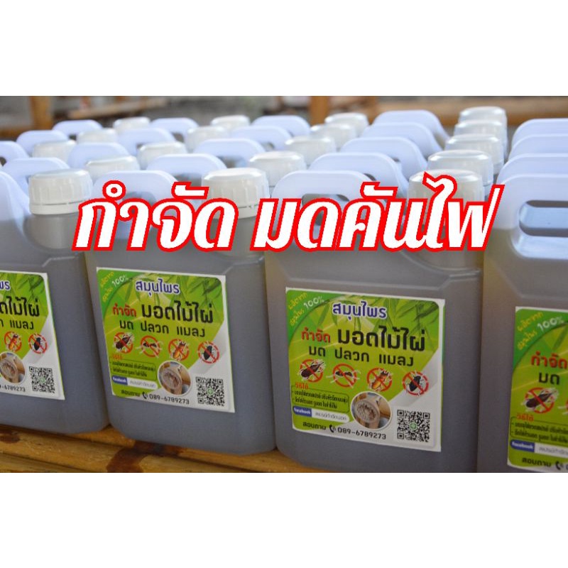 สมุนไพร กำจัด รังมดคันไฟ กำจัดรังปลวก