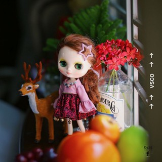 ชุดตุ๊กตามิดดี้บลายธ์ Middie blythe