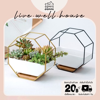 live.well.house |  Plant pot กระถางต้นไม้ แปดเหลี่ยมแขวนผนังตกแต่ง เซรามิค succulent ดอกไม้หม้อดอกไม้สไตล์ ยุโรป