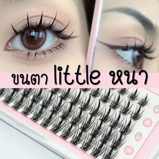 ขนตาปลอม รุ่น Little Devil หนา 0.05mm ขนาด 8-12mm 80 ช่อ