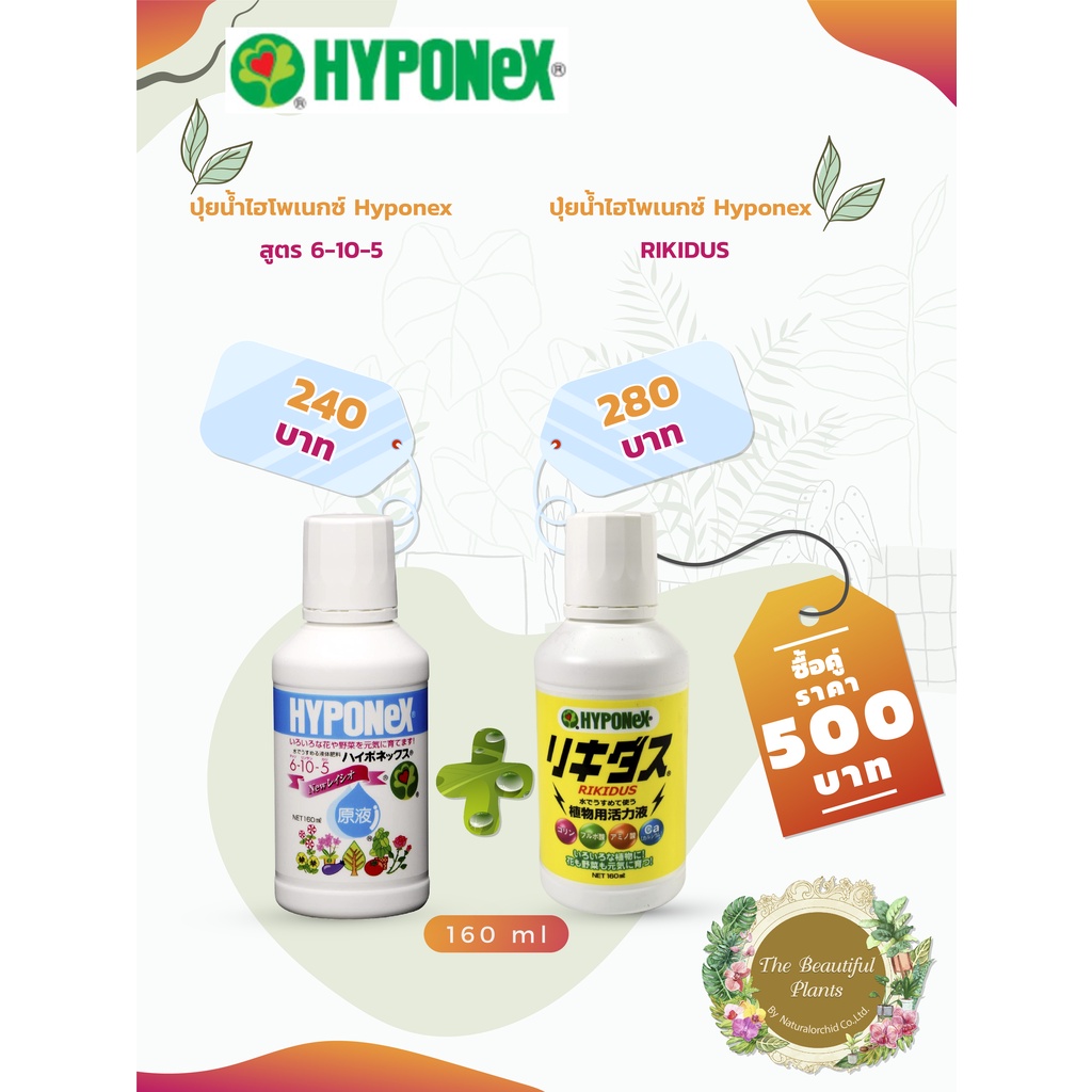 ปุ๋ยน้ำ HYPONex N 6-P10-K5 + ธาตุอาหารเสริมพืช  ริคิดัส Hyponex Rikidus
