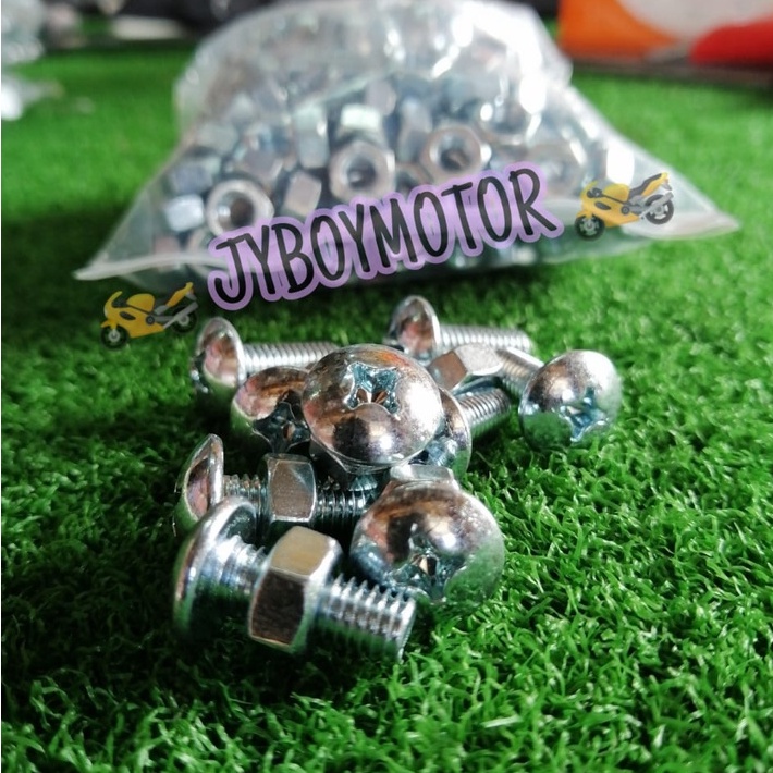 SCREW & NUT FOR MOTORCYCLE NUMBER PLATE { 1SET/ SCREW & NUT }