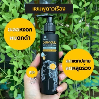 ขายเจ้าแรก ของแท้แน่นอน100% 🌻🌼❤️ แชมพูดาวเรือง แชมพูชะลอหงอก แชมพูปิดผมขาว Calendula shampoo