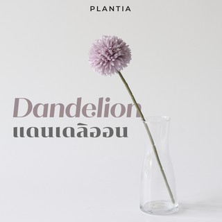 [พร้อมส่ง🚚] แดนเดลิออนประดิษฐ์ - Artificial Dandelion (ดอกแดนเดลิออนปลอม ดอกไม้ประดิษฐ์ ดอกไม้ปลอม ช่อดอกไม้ปลอม)