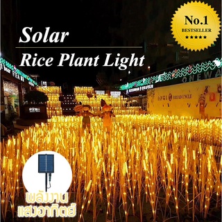 ไฟต้นข้าว ไฟแต่งสวน ไฟโซล่า Solar Light ปักพื้นใช้ได้ทันที ไม่ต้องต่อสายไฟ