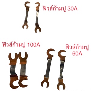 ฟิวส์ก้ามปู 30A,60A,100A,200A ขายเป็นคู่