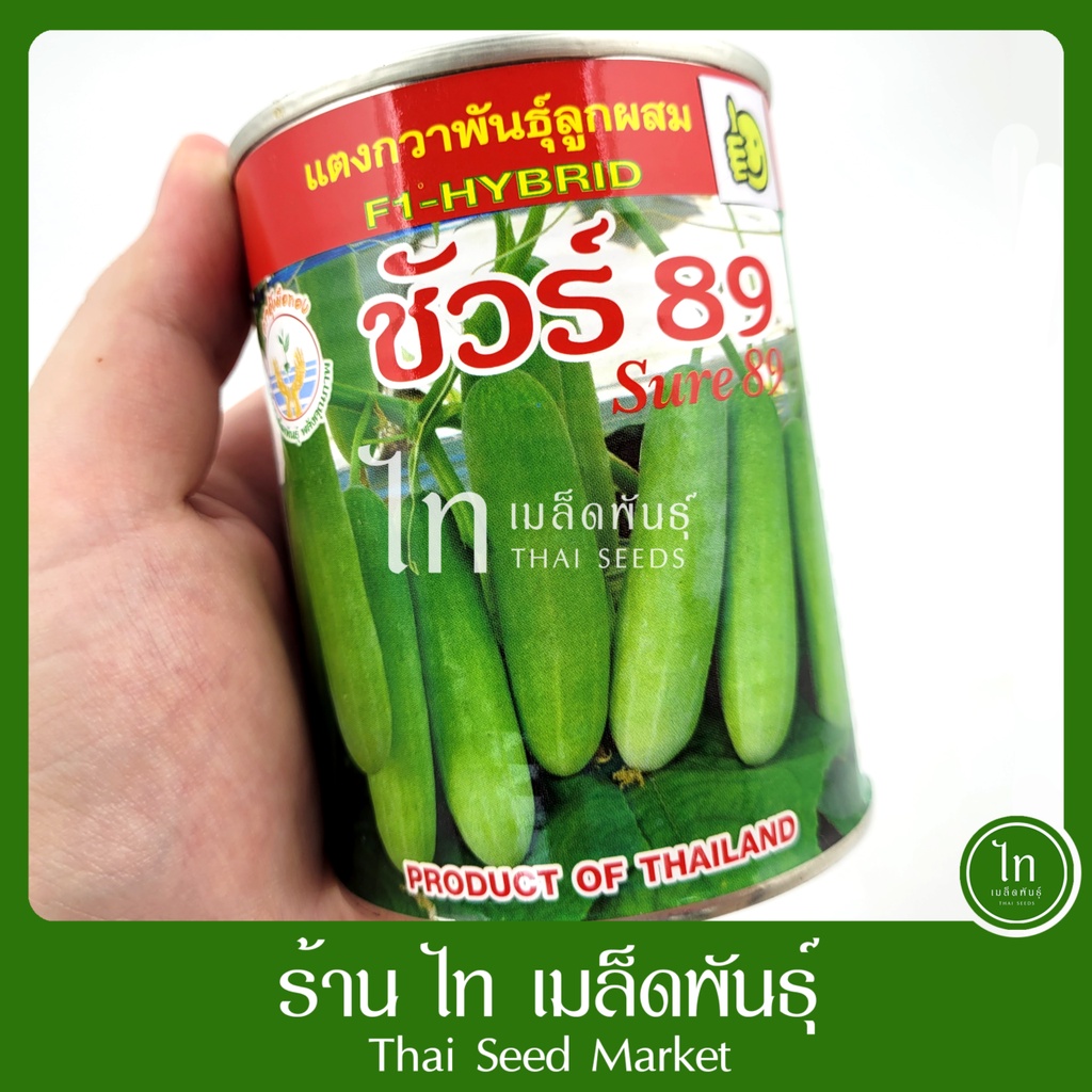 แตงกวา ชัวร์ 89 เมล็ดพันธุ์ แตงกวา ลูกผสม ตรา อุ้งมือทอง บรรจุ 100 กรัม