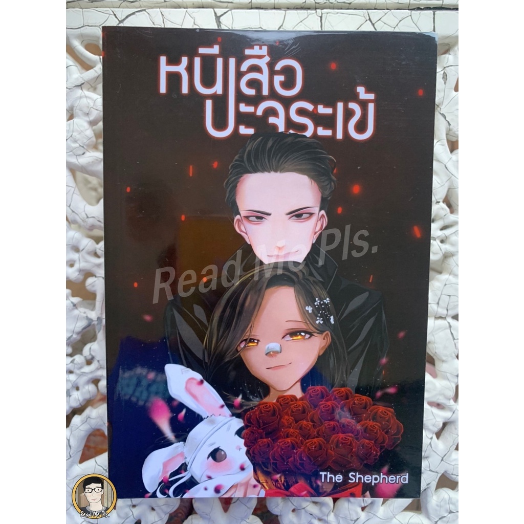 อันดับหนึ่ง 105+ ภาพ เสือปะจระเข้ ความละเอียด 2k, 4k