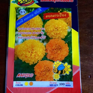 ดาวเรือง คละสี 100 เมล็ด ดอกเล็ก