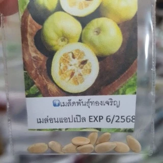 เมล่อน📌รวมเมล่อนทุกสายพันธุ์🎯ถูกที่สุด 10 บ.🎯เมล็ดพันธุ์เมล่อน3-10👉งอกง่าย ☘️โตไว👉ลูกโต☘️รสหวาน