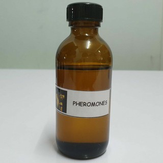 น้ำหอม NG Natures Garden นำเข้าจากอเมริกา กลิ่น PHEROMONES FRAGRANCE OIL ขนาด 2 ออนซ์