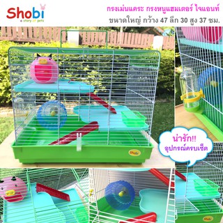 กรงเม่นแคระ shobi กรงหนูแฮมเตอร์ไจแอนท์ กรงหนูแฮมเตอร์ไจแอ้น รุ่น m-033