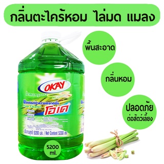 [CHNOSE9ลด15%] OKAY น้ำยาทำความสะอาดพื้น 5200 มล น้ำยาถูพื้น เช็ดพื้น โอเค กลิ่นตะไคร้ ไล่มด ไล่แมลง  (FCG5200)