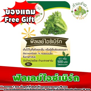 สินค้าของแถม Free Gift 1 ซอง เมื่อลูกค้าซื้อสินค้า เมล็ดพันธุ์ผักสลัดซองละ 50 บาท ในร้านค้า ทำมะชาดฟาร์ม ครบทุกๆ 10 ซอง