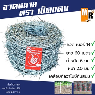 Barbed Wire ลวดหนาม เป็ดแดง ยาว 60 เมตร น้ำหนัก 6 กก. เคลือบกัลวาไนซ์ 💯⛓