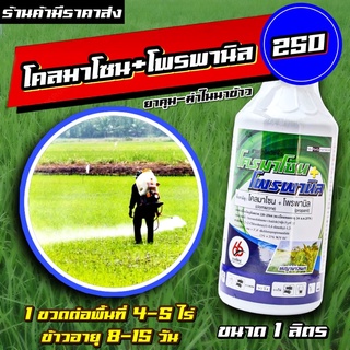 โคลมาโซน + โพรพานิล 66 1ลิตร  💥 ข้าวไม่แดง ยาคุม-ฆ่า ในนาข้าว  กำจัดหญ้าวข้าวนก หญ้าดอกขาว หญ้าแดง หญ้ากระดูกไก่