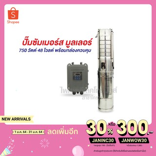 ปั๊มซัมเมอร์ส  DC บัสเลส 750W / 48V