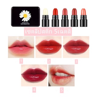 พร้อมส่ง 🛒เซตลิปสติกจิ๋ว ลิปสติกจิ๋ว 5 แท่ง 5 เฉดสี💄👄✨